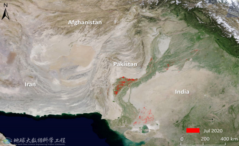Desert Locust Monitoring and Loss Assessment of Pakistan, India, Nepal
