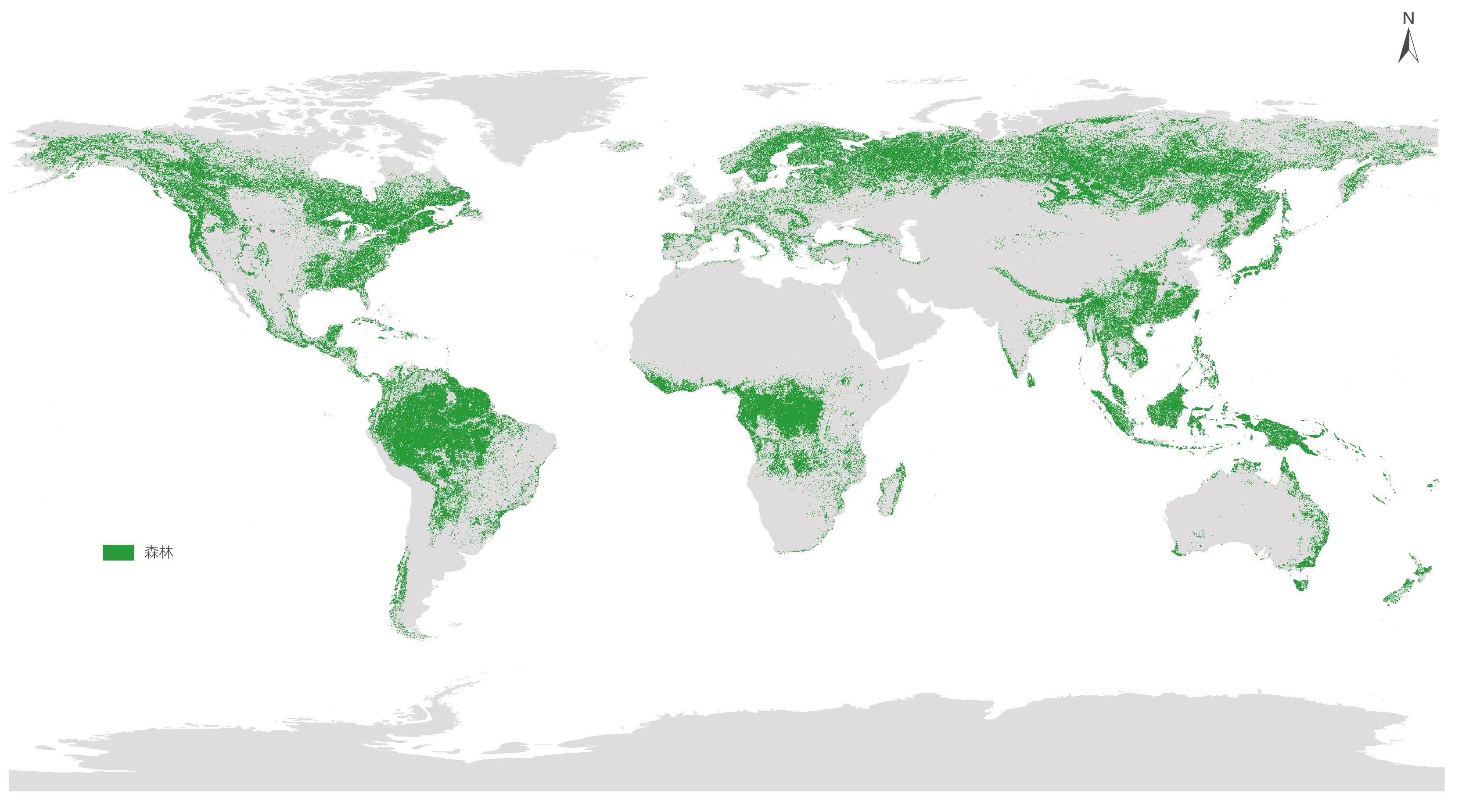 2020年联合国最新报导，全球森林面积已减少%80，保护森林成重中之重！_林木